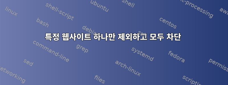 특정 웹사이트 하나만 제외하고 모두 차단