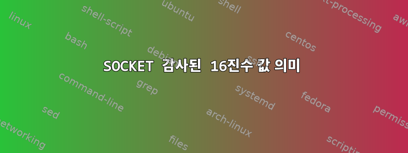 SOCKET 감사된 16진수 값 의미