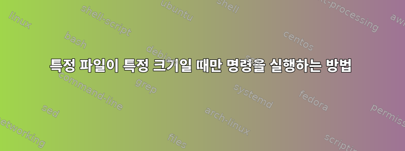 특정 파일이 특정 크기일 때만 명령을 실행하는 방법