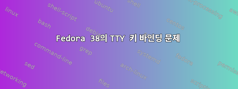 Fedora 38의 TTY 키 바인딩 문제