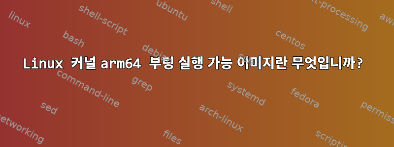 Linux 커널 arm64 부팅 실행 가능 이미지란 무엇입니까?