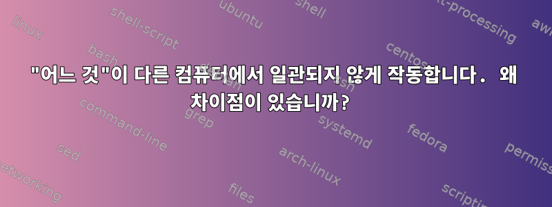 "어느 것"이 다른 컴퓨터에서 일관되지 않게 작동합니다. 왜 차이점이 있습니까?