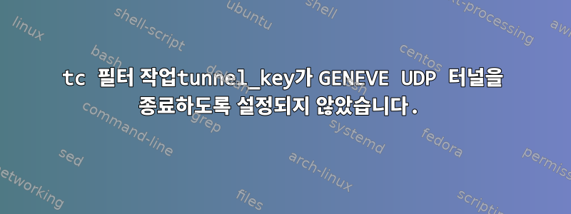 tc 필터 작업tunnel_key가 GENEVE UDP 터널을 종료하도록 설정되지 않았습니다.