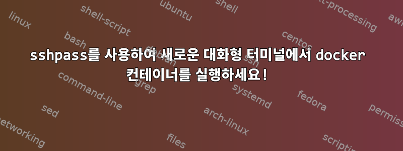 sshpass를 사용하여 새로운 대화형 터미널에서 docker 컨테이너를 실행하세요!