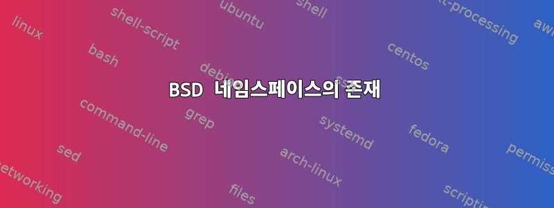 BSD 네임스페이스의 존재