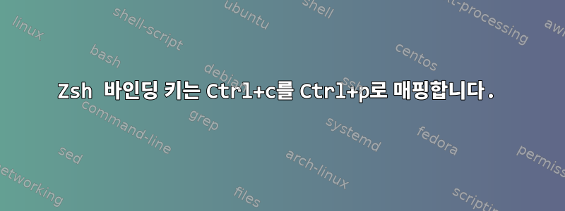 Zsh 바인딩 키는 Ctrl+c를 Ctrl+p로 매핑합니다.