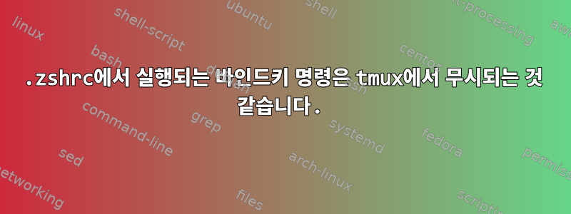 .zshrc에서 실행되는 바인드키 명령은 tmux에서 무시되는 것 같습니다.