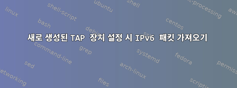 새로 생성된 TAP 장치 설정 시 IPv6 패킷 가져오기