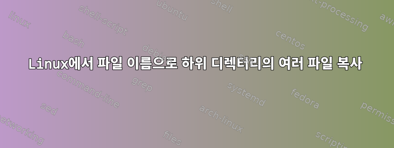 Linux에서 파일 이름으로 하위 디렉터리의 여러 파일 복사