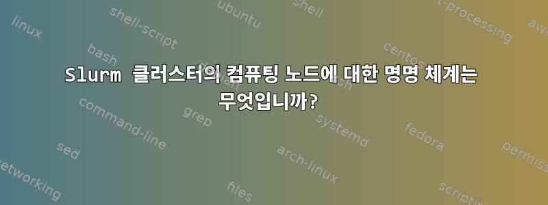 Slurm 클러스터의 컴퓨팅 노드에 대한 명명 체계는 무엇입니까?