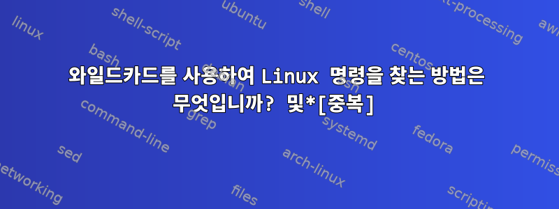 와일드카드를 사용하여 Linux 명령을 찾는 방법은 무엇입니까? 및*[중복]