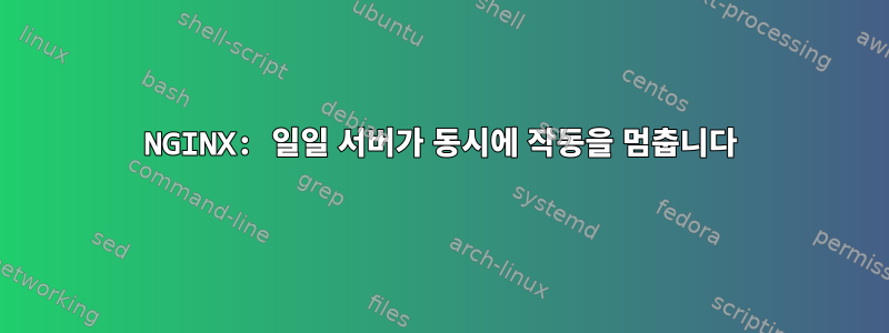 NGINX: 일일 서버가 동시에 작동을 멈춥니다