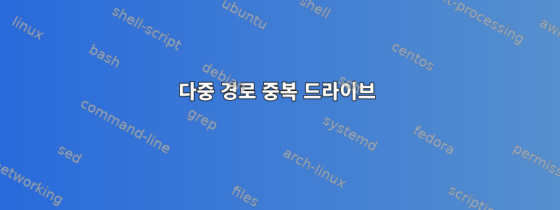 다중 경로 중복 드라이브