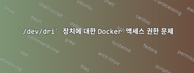 `/dev/dri` 장치에 대한 Docker 액세스 권한 문제