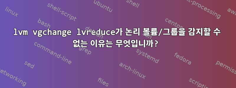 lvm vgchange lvreduce가 논리 볼륨/그룹을 감지할 수 없는 이유는 무엇입니까?