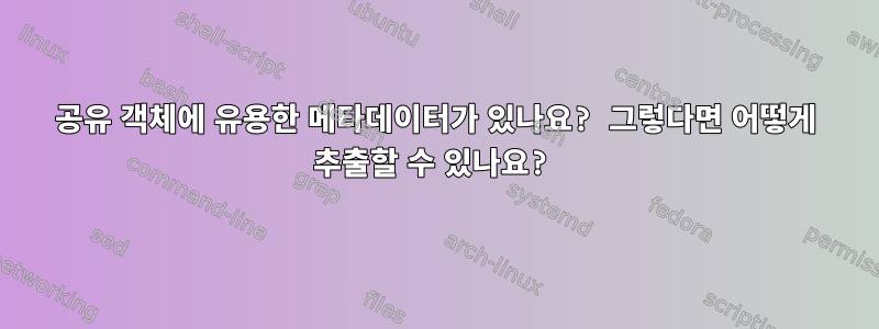 공유 객체에 유용한 메타데이터가 있나요? 그렇다면 어떻게 추출할 수 있나요?