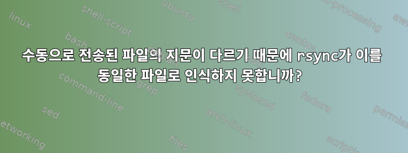 수동으로 전송된 파일의 지문이 다르기 때문에 rsync가 이를 동일한 파일로 인식하지 못합니까?