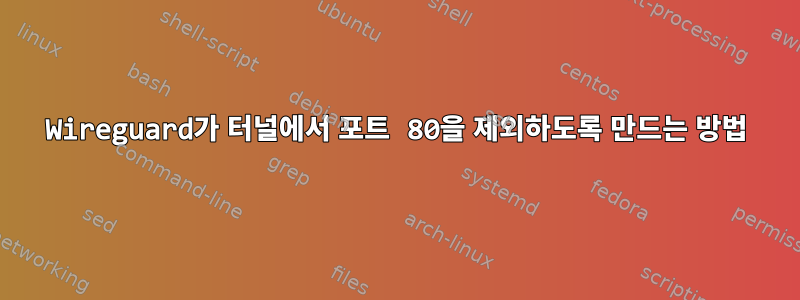 Wireguard가 터널에서 포트 80을 제외하도록 만드는 방법