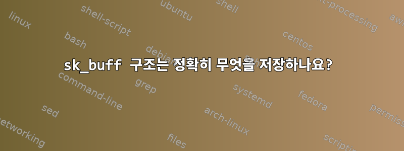 sk_buff 구조는 정확히 무엇을 저장하나요?