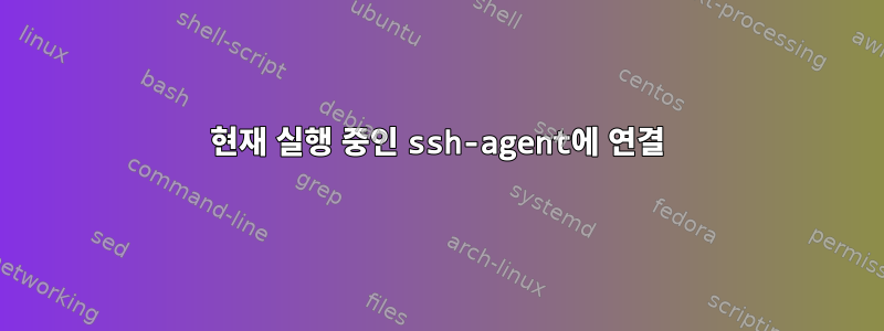 현재 실행 중인 ssh-agent에 연결