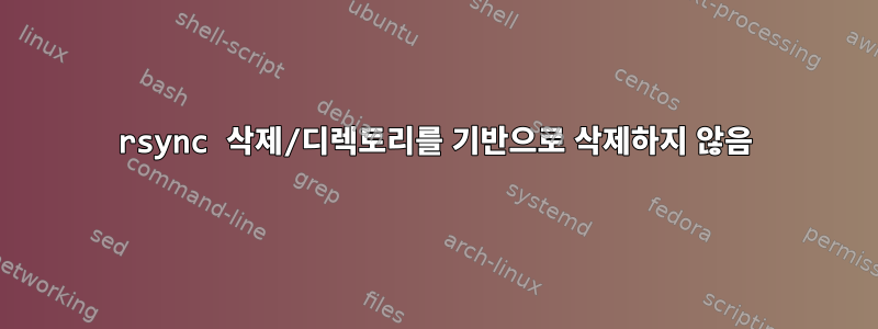 rsync 삭제/디렉토리를 기반으로 삭제하지 않음