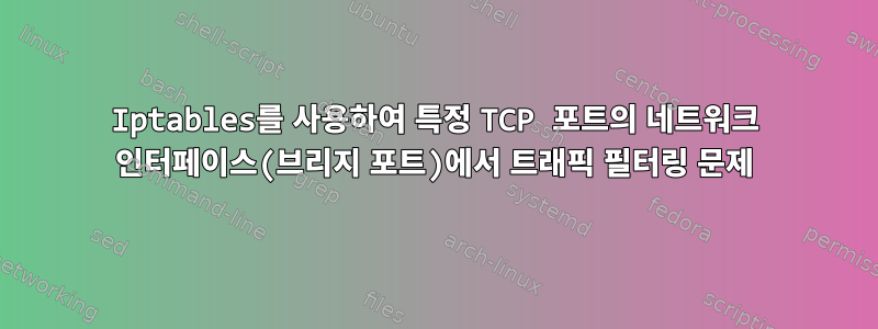 Iptables를 사용하여 특정 TCP 포트의 네트워크 인터페이스(브리지 포트)에서 트래픽 필터링 문제