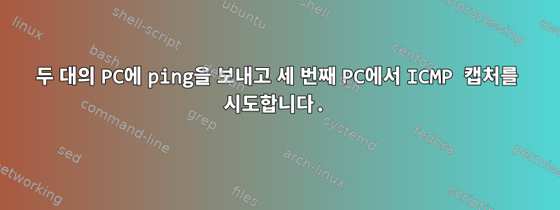 두 대의 PC에 ping을 보내고 세 번째 PC에서 ICMP 캡처를 시도합니다.