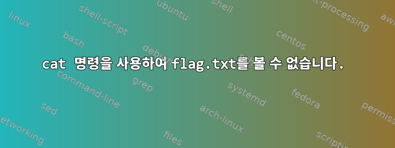 cat 명령을 사용하여 flag.txt를 볼 수 없습니다.