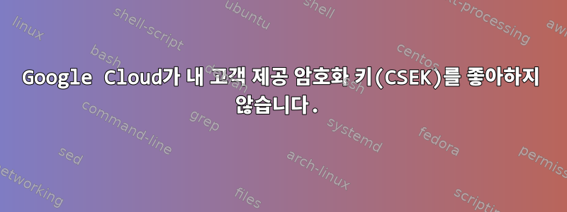 Google Cloud가 내 고객 제공 암호화 키(CSEK)를 좋아하지 않습니다.