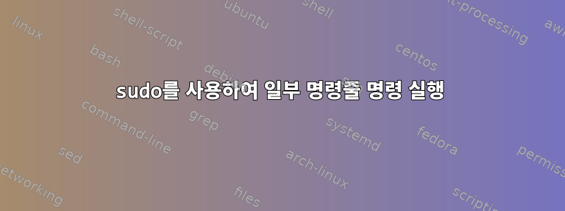 sudo를 사용하여 일부 명령줄 명령 실행