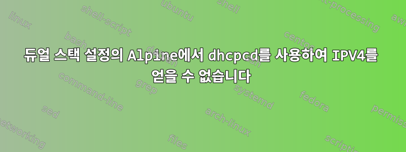 듀얼 스택 설정의 Alpine에서 dhcpcd를 사용하여 IPV4를 얻을 수 없습니다