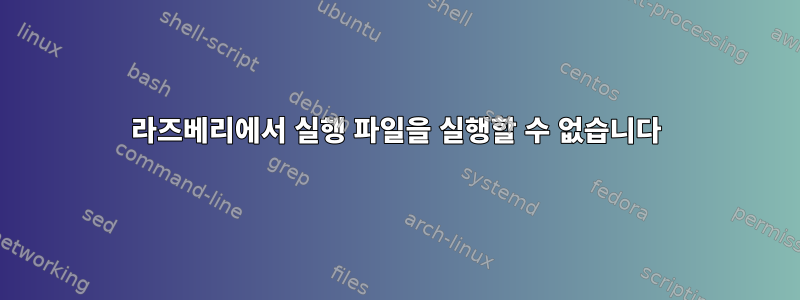 라즈베리에서 실행 파일을 실행할 수 없습니다