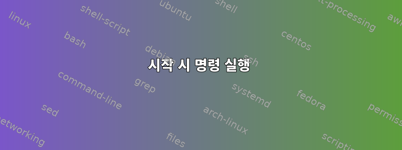 시작 시 명령 실행