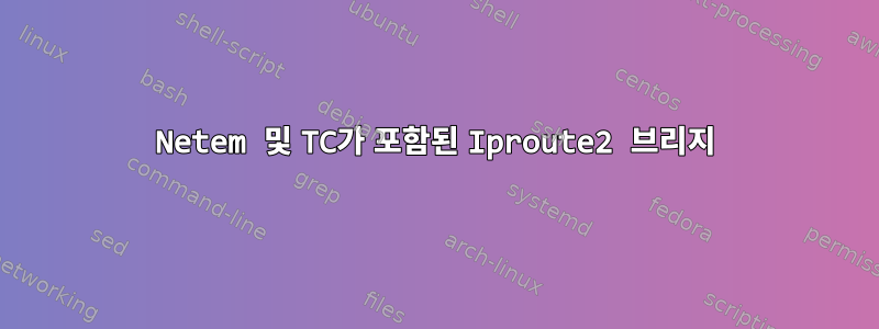 Netem 및 TC가 포함된 Iproute2 브리지