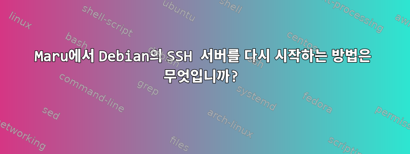 Maru에서 Debian의 SSH 서버를 다시 시작하는 방법은 무엇입니까?