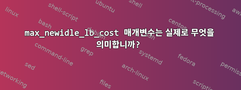 max_newidle_lb_cost 매개변수는 실제로 무엇을 의미합니까?