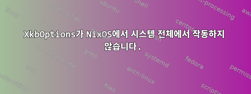 XkbOptions가 NixOS에서 시스템 전체에서 작동하지 않습니다.