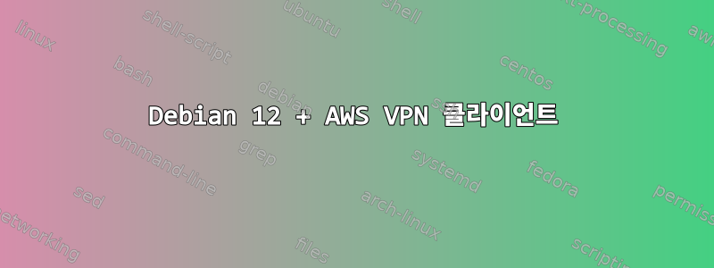 Debian 12 + AWS VPN 클라이언트