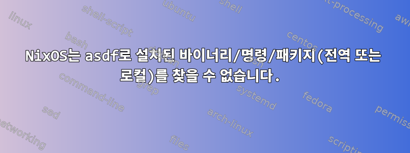 NixOS는 asdf로 설치된 바이너리/명령/패키지(전역 또는 로컬)를 찾을 수 없습니다.