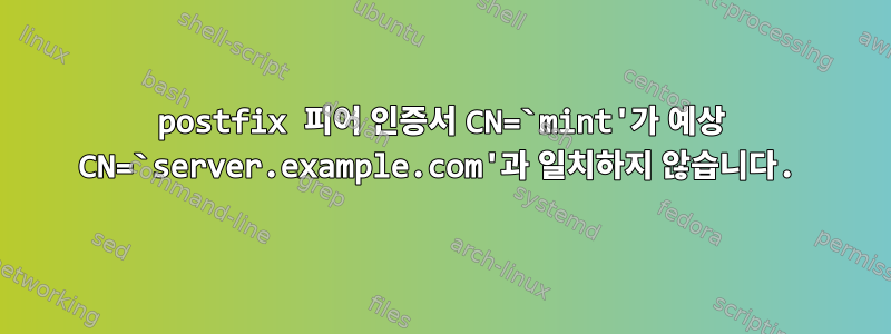 postfix 피어 인증서 CN=`mint'가 예상 CN=`server.example.com'과 일치하지 않습니다.