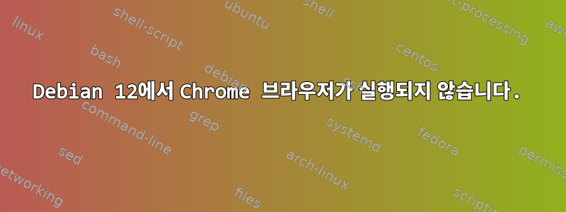 Debian 12에서 Chrome 브라우저가 실행되지 않습니다.