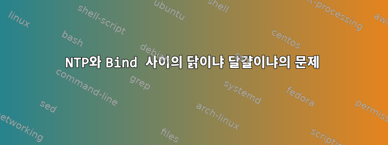 NTP와 Bind 사이의 닭이냐 달걀이냐의 문제