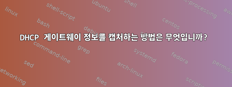 DHCP 게이트웨이 정보를 캡처하는 방법은 무엇입니까?