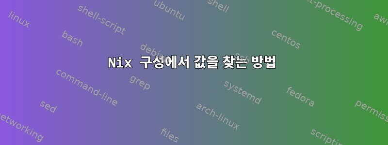 Nix 구성에서 값을 찾는 방법