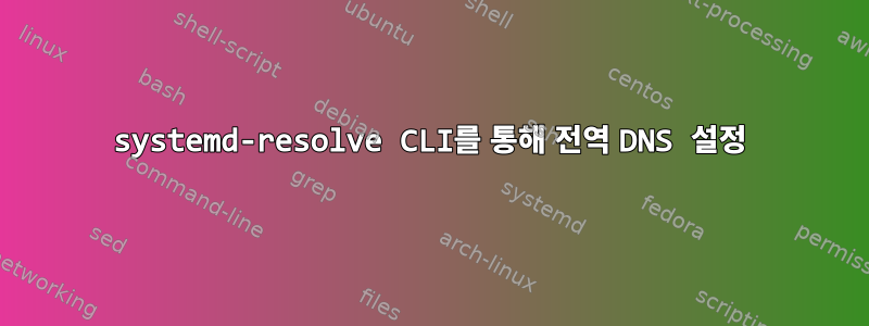 systemd-resolve CLI를 통해 전역 DNS 설정