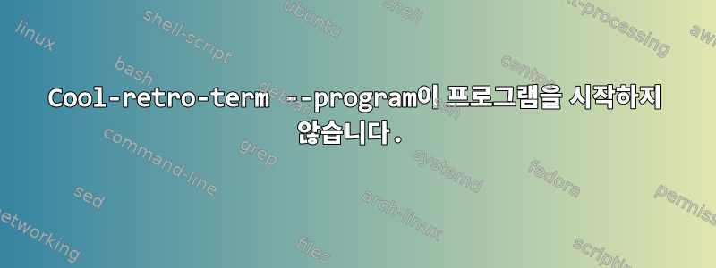 Cool-retro-term --program이 프로그램을 시작하지 않습니다.