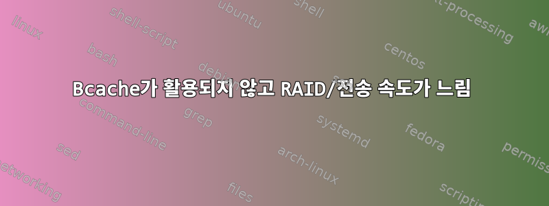 Bcache가 활용되지 않고 RAID/전송 속도가 느림