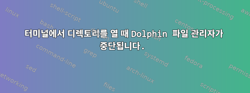 터미널에서 디렉토리를 열 때 Dolphin 파일 관리자가 중단됩니다.