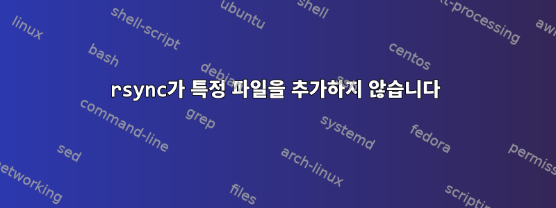 rsync가 특정 파일을 추가하지 않습니다