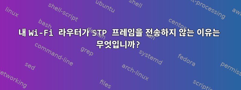 내 Wi-Fi 라우터가 STP 프레임을 전송하지 않는 이유는 무엇입니까?